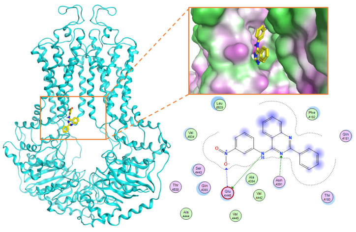 Figure 13