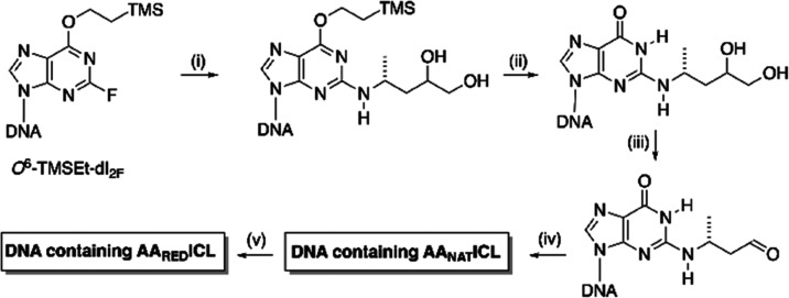 Scheme 2