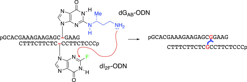 Scheme 4