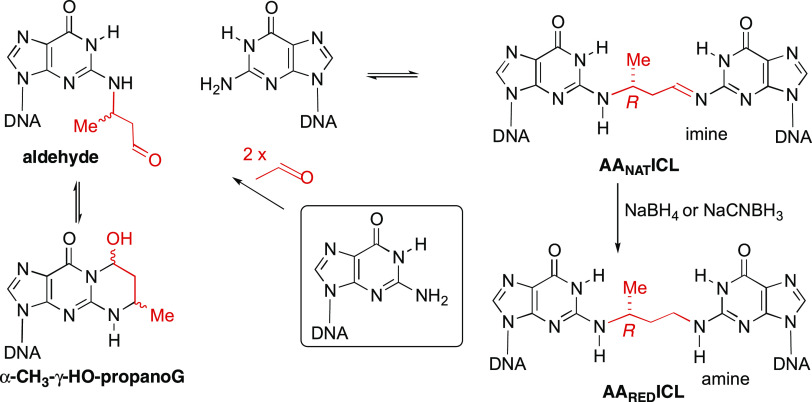 Scheme 1