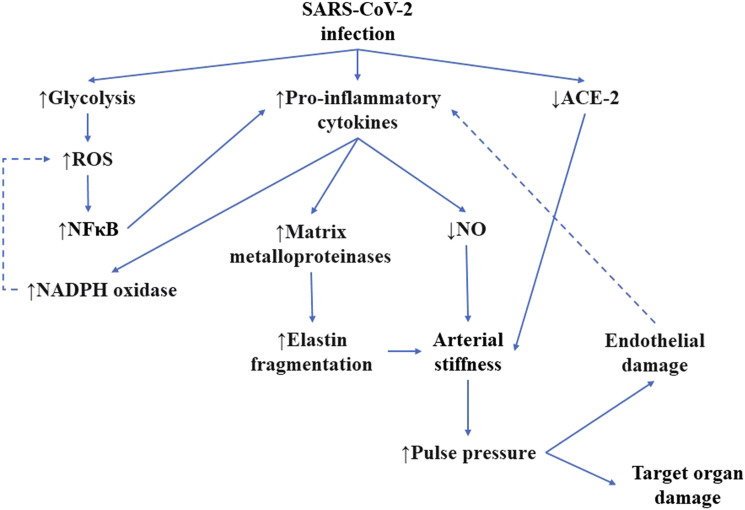 Figure
1.