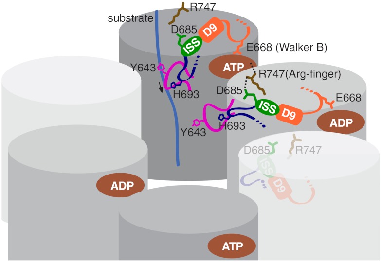 Fig. 4.