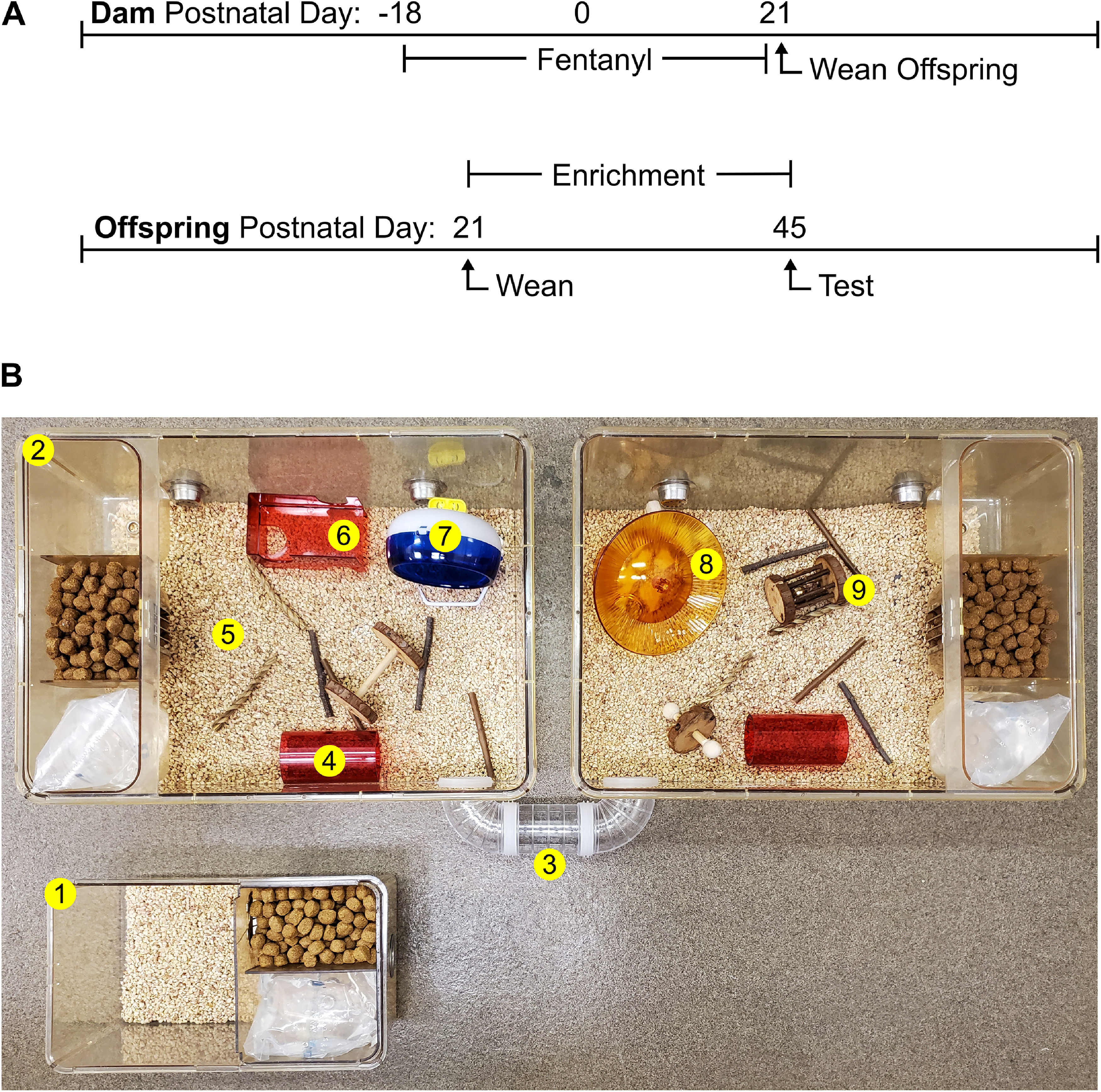 Figure 1.