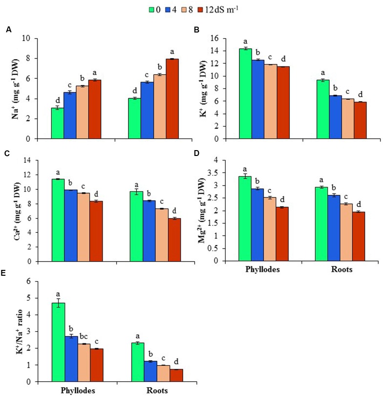 FIGURE 3