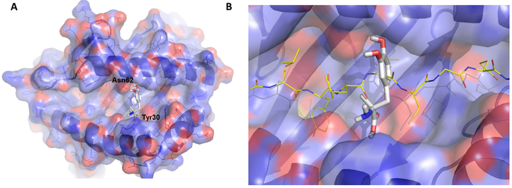 Figure 2.