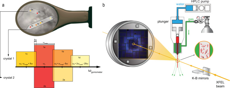 Fig. 2