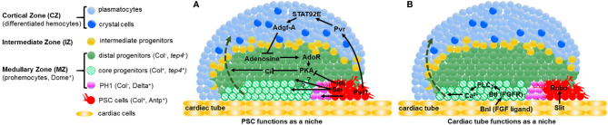 Figure 2