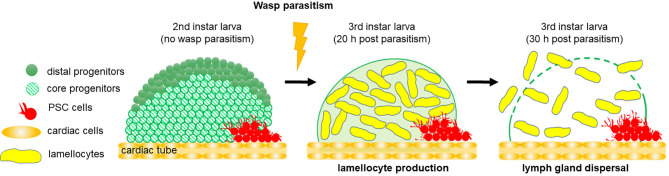 Figure 3