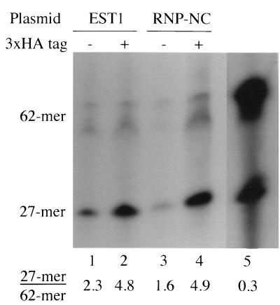 FIG. 8