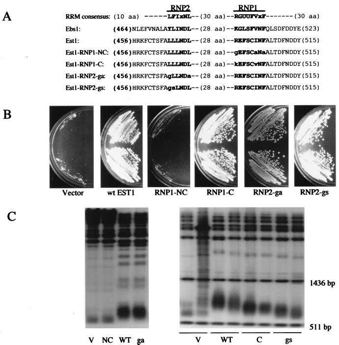 FIG. 5