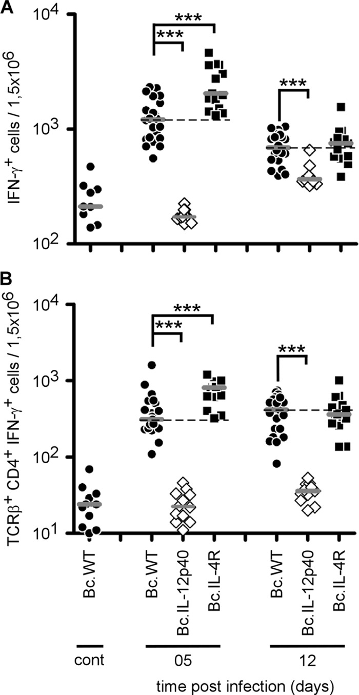 Fig 7