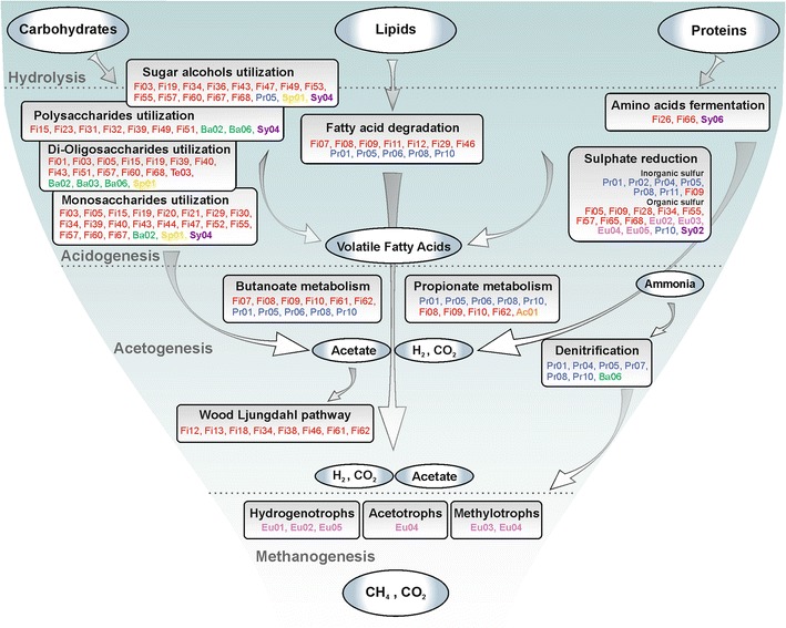 Fig. 3