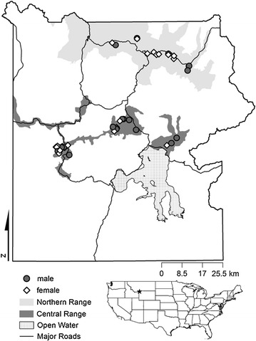 Fig. 1