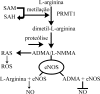 Figura 2