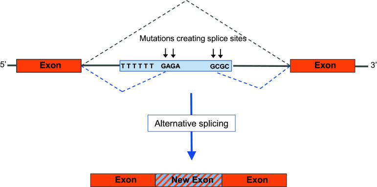 Fig. 2