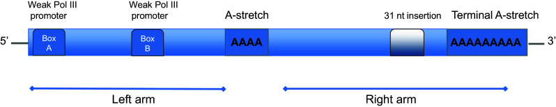 Fig. 1