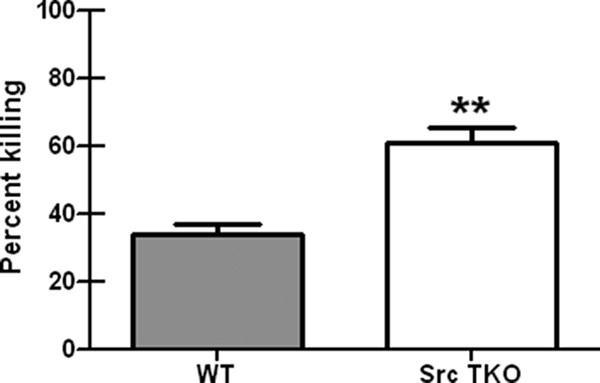 FIG. 5.