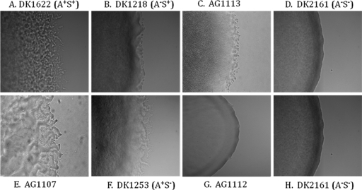 FIG. 2.