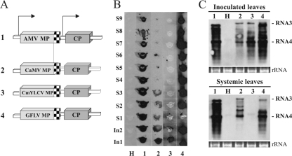 FIG. 3.