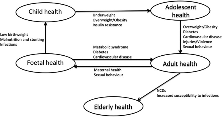 Figure 2.