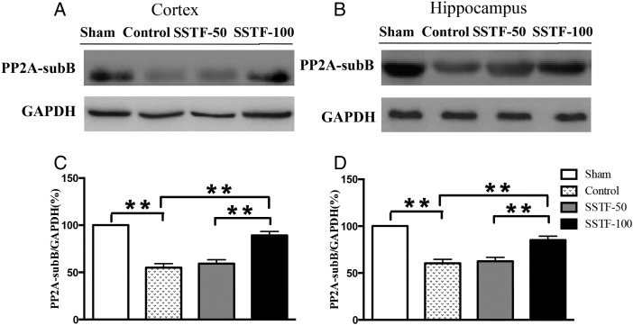 Figure 6.