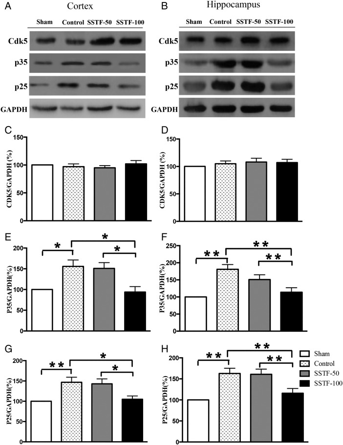 Figure 5.