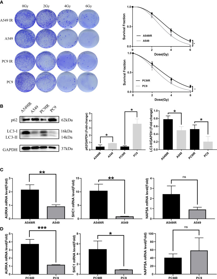 Figure 10