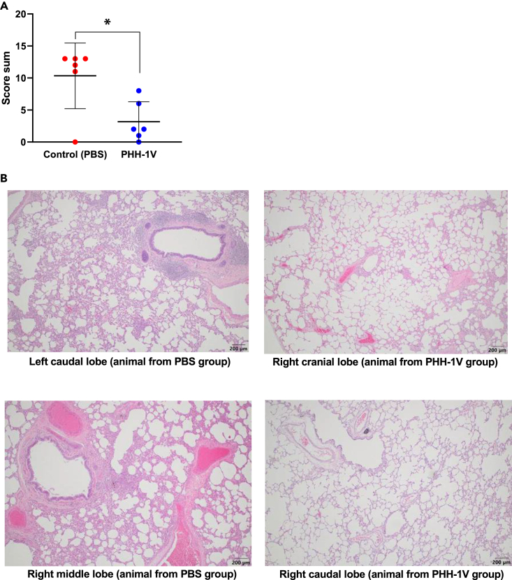 Figure 6