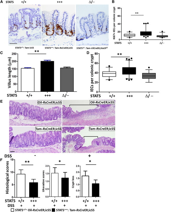 Figure 6