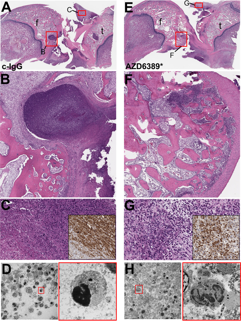 FIG 2