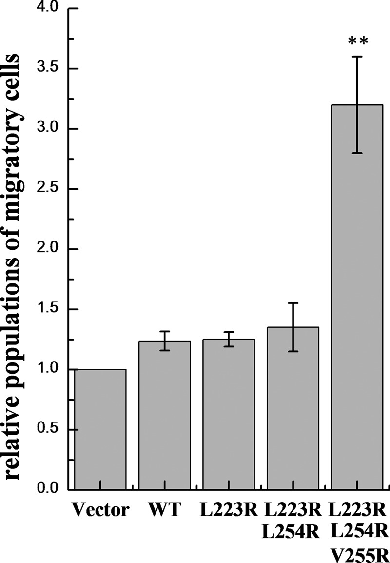 FIGURE 7.