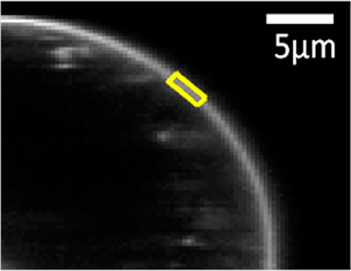 FIGURE 2.