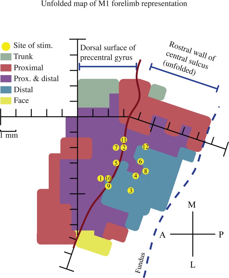 Figure 1.