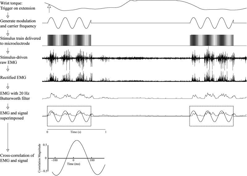 Figure 2.