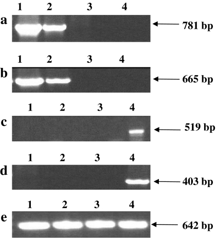 Fig. 5