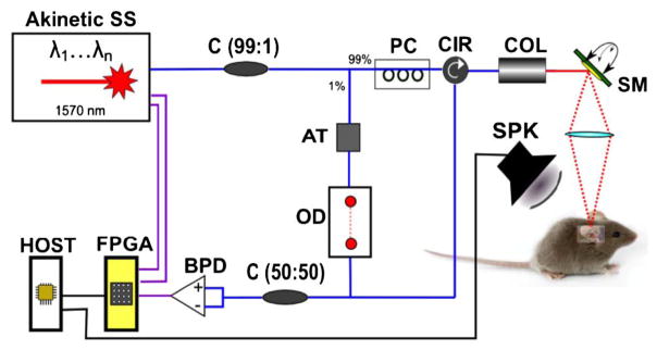 Fig. 1