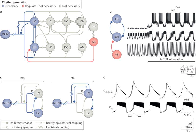 Figure 5