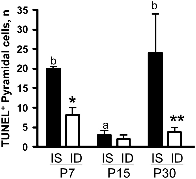 FIGURE 3 