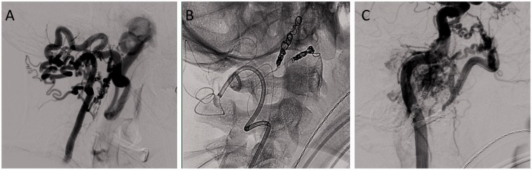 Figure 4.