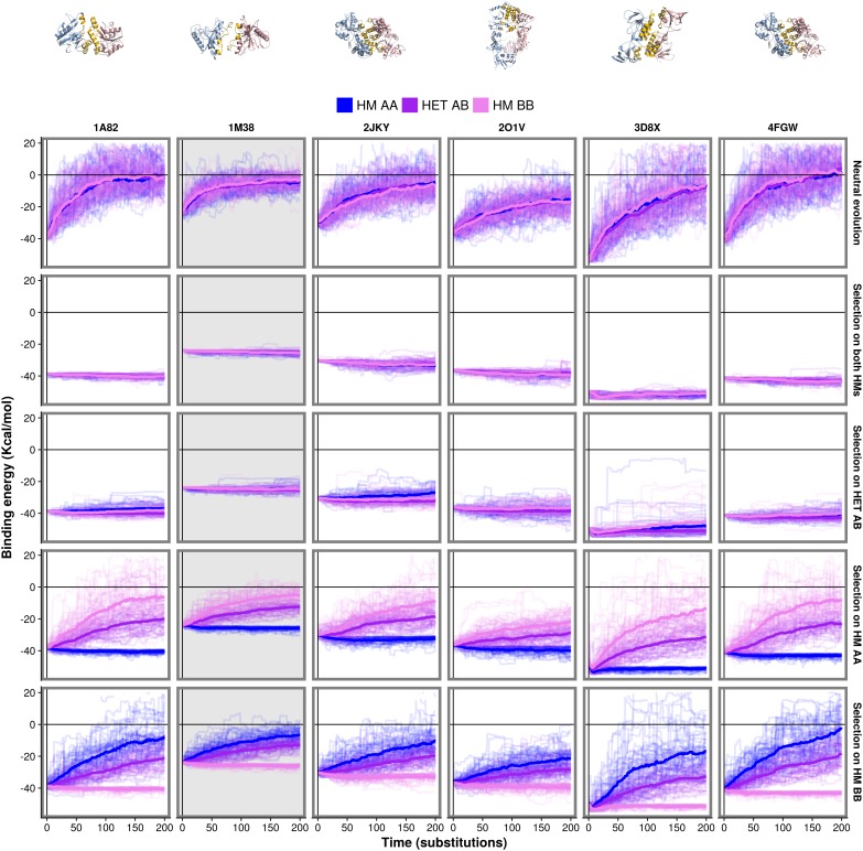 Figure 4—figure supplement 2.