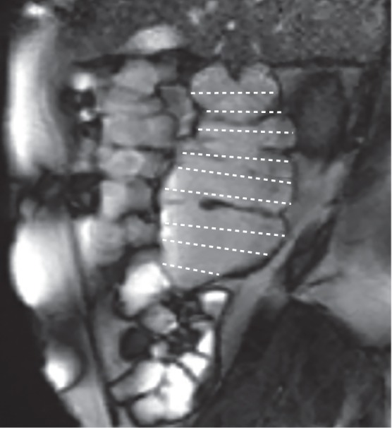 Fig. 9