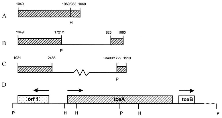 FIG. 1