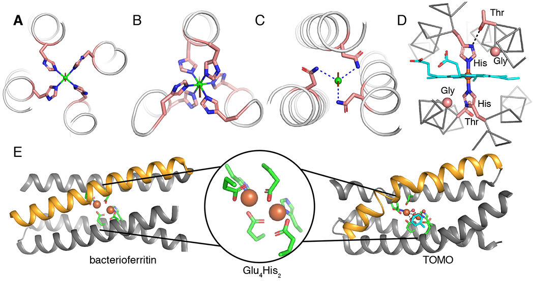 Fig. 2 |