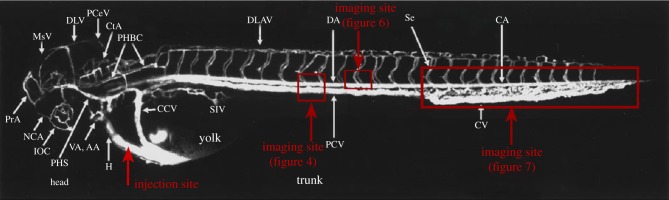 Figure 1.