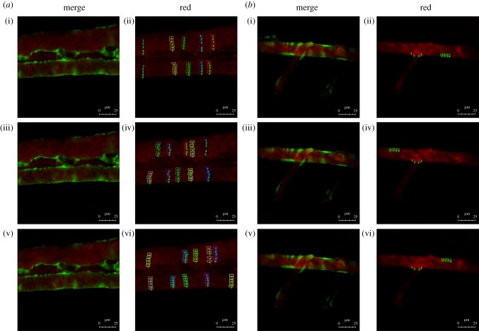 Figure 2.