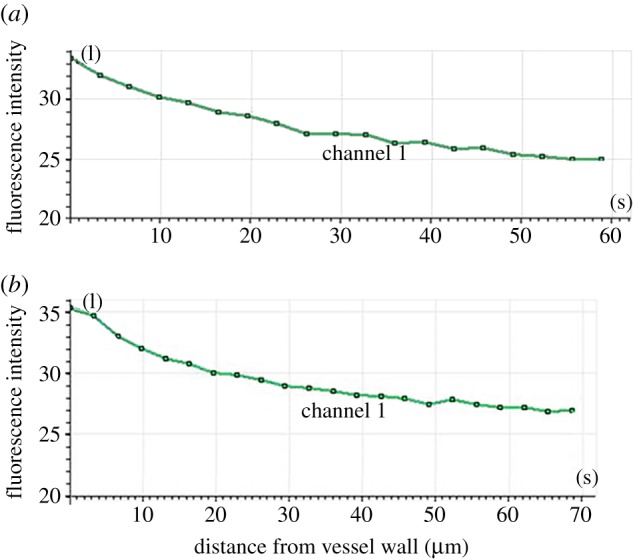 Figure 5.