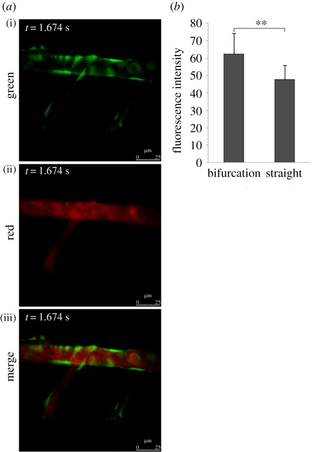 Figure 6.