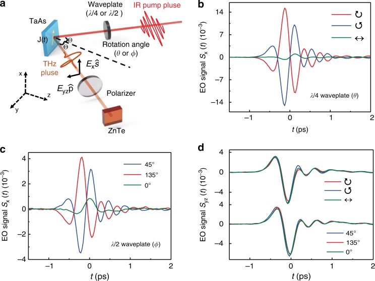 Chiral terahertz wave emission from the Weyl semimetal TaAs - PMC