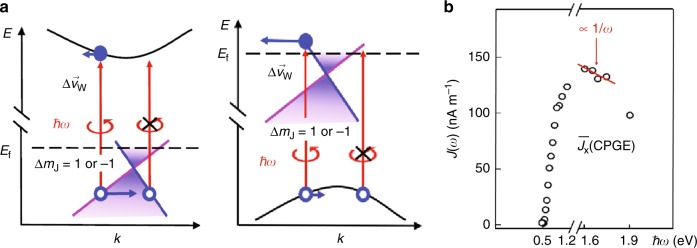 Fig. 7