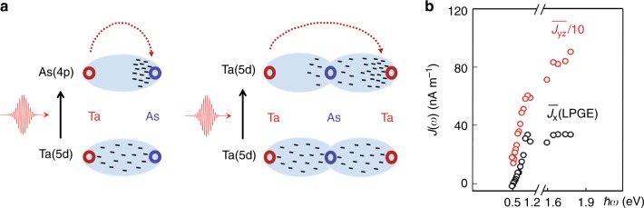 Fig. 8